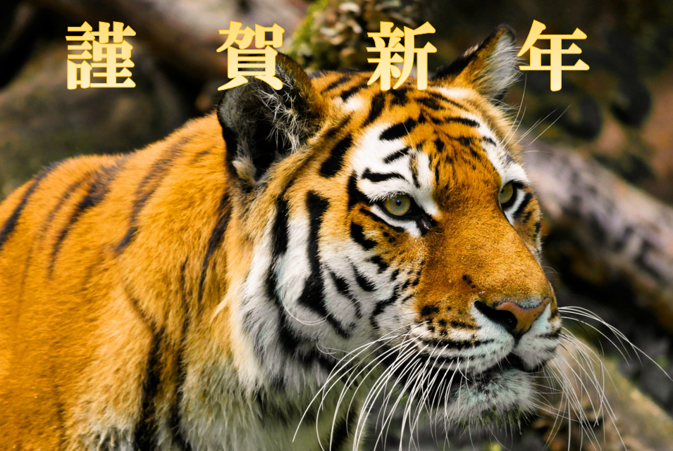 今年もよろしくお願いいたします。